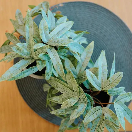 ヴィラ Pelionblue ヴォロス