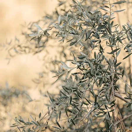 Pelionblue ヴィラ ヴォロス