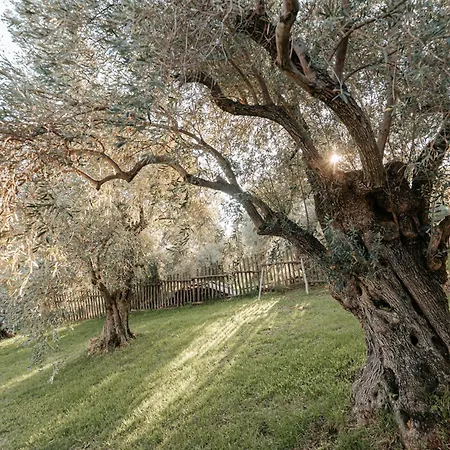 Pelionblue * ヴォロス